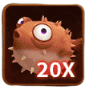 20X
