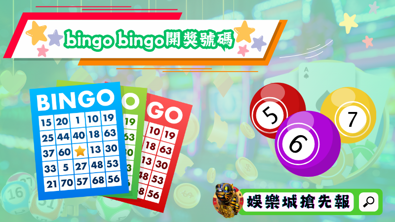 bingo bingo開獎號碼