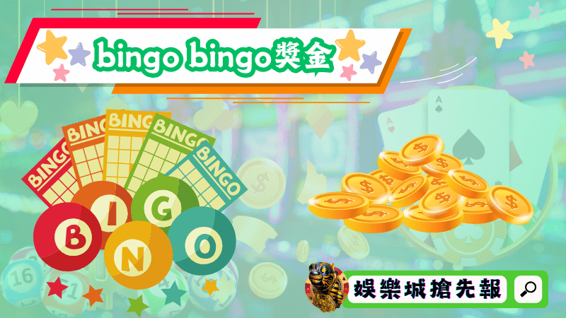 bingo bingo獎金
